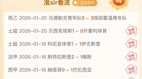 “国际视野下：非盟与我国深化合作，共谋发展新篇章”