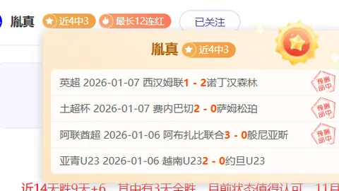 霍夫兰威士伯锦标赛翻盘夺冠，托马斯憾获第二