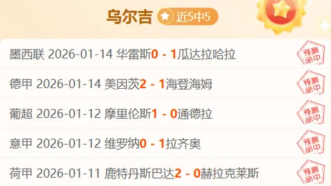 东契奇火力全开，三分狂炸，19分4板3助高效输出！